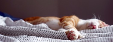 Los ocho trucos que da la ciencia para dormir mejor (y un consejo definitivo)
