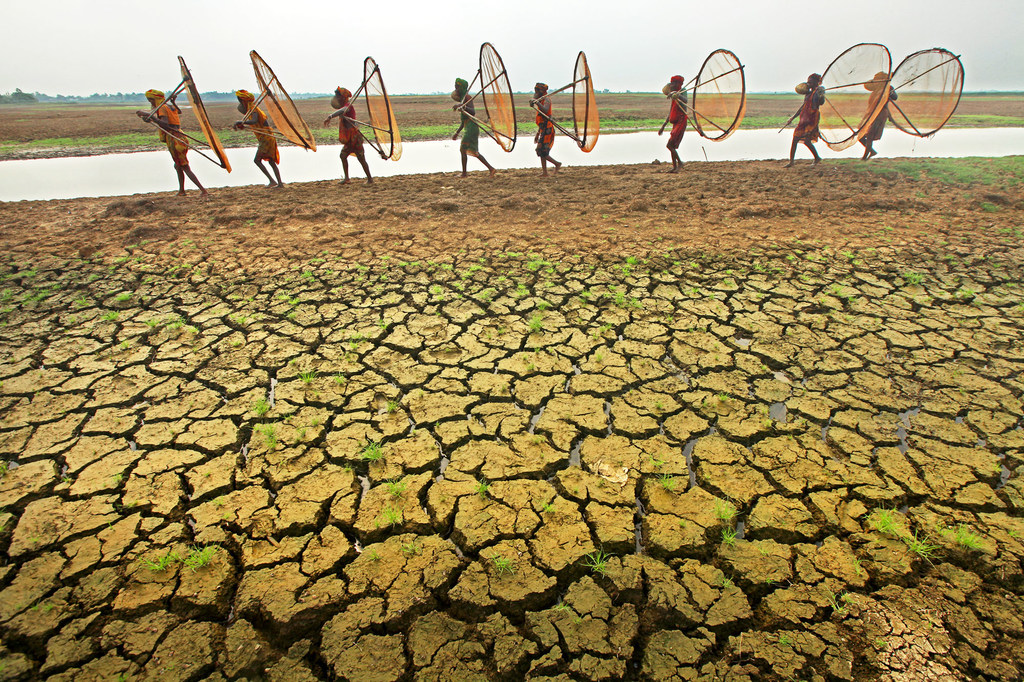 El cambio climático y las prácticas insostenibles en relación con la tierra y el agua están provocando sequías en todo el mundo.