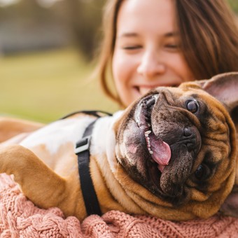 ¿Qué país es el más amigable con los animales?                                                                    