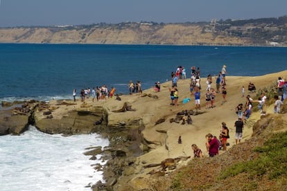 Turistas fotografían a los leones marinos, en La Jolla.