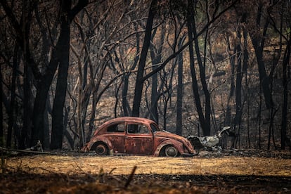 Los restos de un automóvil destruido por los incendios en los alrededores de Sídney (Australia) a finales de 2019.