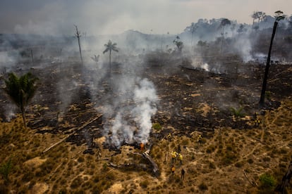 Incendio forestal en la selva amazónica, en Brasil, a finales de 2019. 