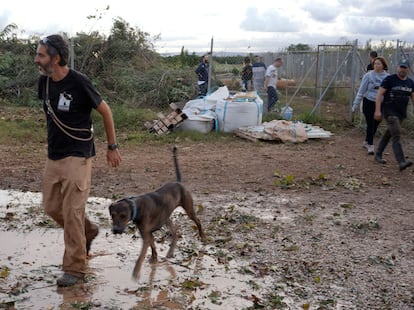 Voluntarios trasladando a los animales del refugio Modepran en Carlet.