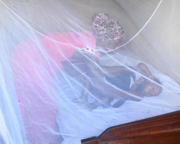 Aumenta la malaria por el cambio climático y la resistencia a los antibióticos, entre otros factores