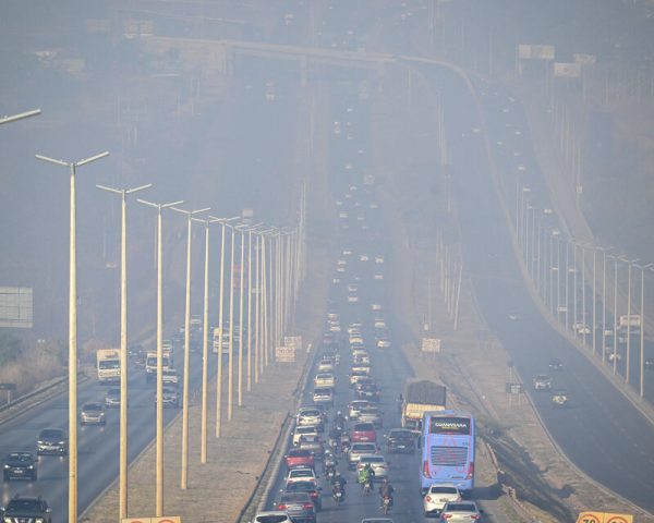 Brasil: el medioambiente, destruido poco a poco | Opinión