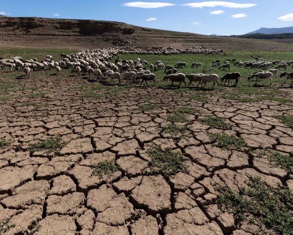 Bruselas advierte de la “situación crítica” del agua en la UE y pide una mejor protección de un bien clave | Clima y Medio Ambiente