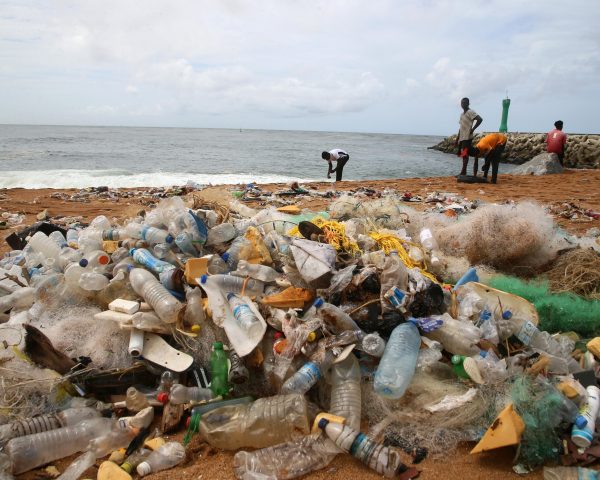 Cada año se vierten más de 52 millones de toneladas de plásticos al medioambiente, según un estudio de ‘Nature’ | Clima y Medio Ambiente