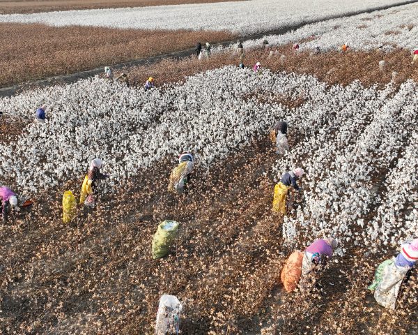 Cumbre de Riad: la degradación de las tierras amplía los riesgos para las empresas | Clima y Medio Ambiente