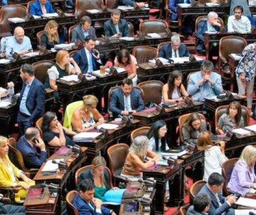 Diputados vuelve a sesionar: el oficialismo busca aprobar su proyecto para regularizar la tenencia de armas