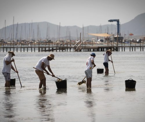 El Constitucional avala que el mar Menor goce de personalidad jurídica para su mayor protección | Clima y Medio Ambiente