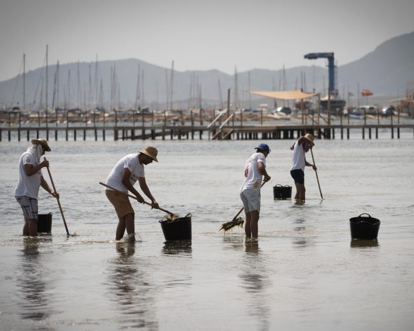 El Constitucional avala que el mar Menor goce de personalidad jurídica para su mayor protección | Clima y Medio Ambiente