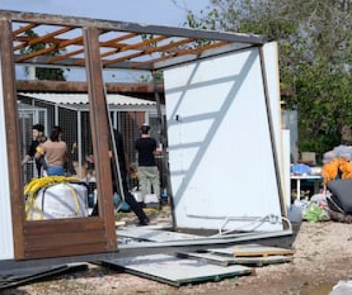 El refugio Modepran en Carlet luego de las lluvias.