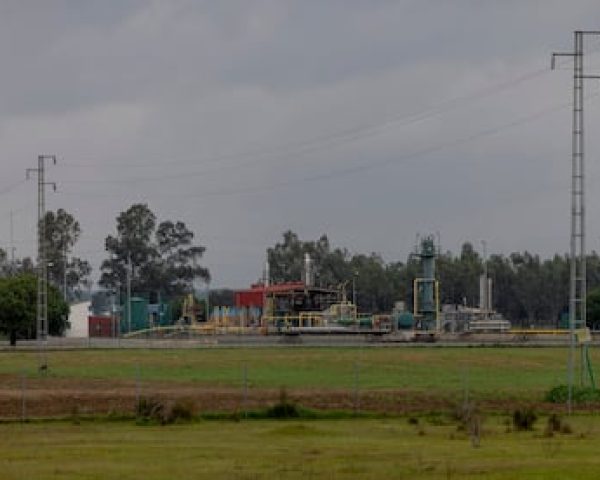 Instalaciones del almacén de gas onubense, este viernes.