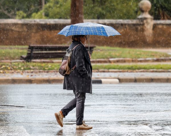 El año 2024 fue el primero húmedo en España desde 2018, según el balance climático de la Aemet | Clima y Medio Ambiente