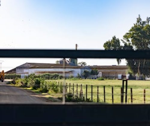 Entrada a la finca Hato Blanco Viejo, en la localidad sevillana de Aznalcázar, el año pasado.