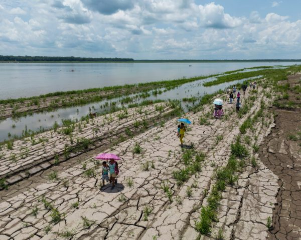 La ONU pide reducir las emisiones “de forma drástica” tras un 2024 de calor récord | Clima y Medio Ambiente