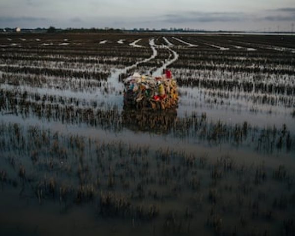 Bala de plástico prensado en una planta de tratamiento de residuos, en medio de un arrozal de la Albufera.