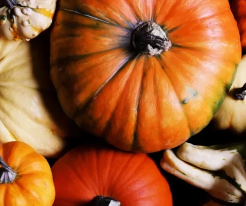 calabaza-alimento.jpg.webp.webp