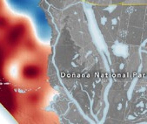 Que Doñana parezca un páramo no sólo es cosa de la sequía. Este dramático mapa de la NASA lo explica