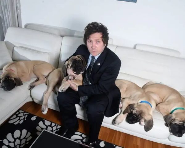 Javier Milei con sus perros, clones de Conan