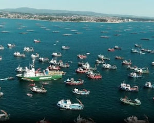 Flotilla reivindicativa en Vilagarcía de Arousa (Pontevedra) concentrada en contra de la macrocelulosa, el 12 de junio de 2024.